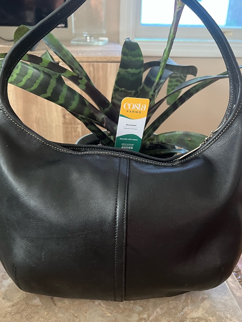 Coach Black Leather Hobo Shoulder Bag